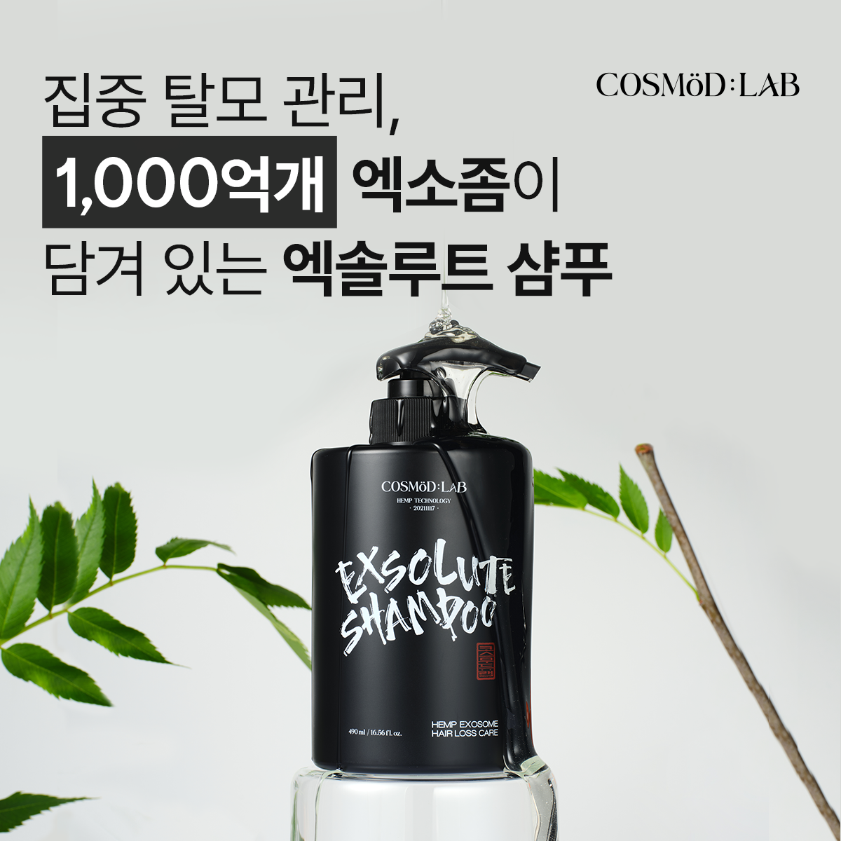엑솔루트 샴푸 — 식물 유래 엑소좀 두피케어