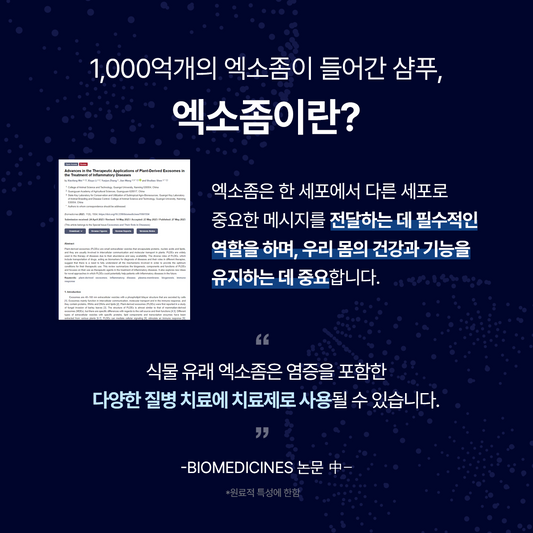 엑솔루트 샴푸 — 식물 유래 엑소좀 두피케어