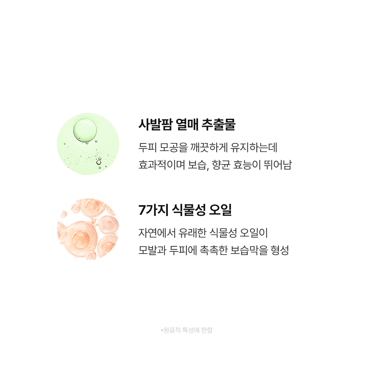 엑솔루트 샴푸 — 식물 유래 엑소좀 두피케어