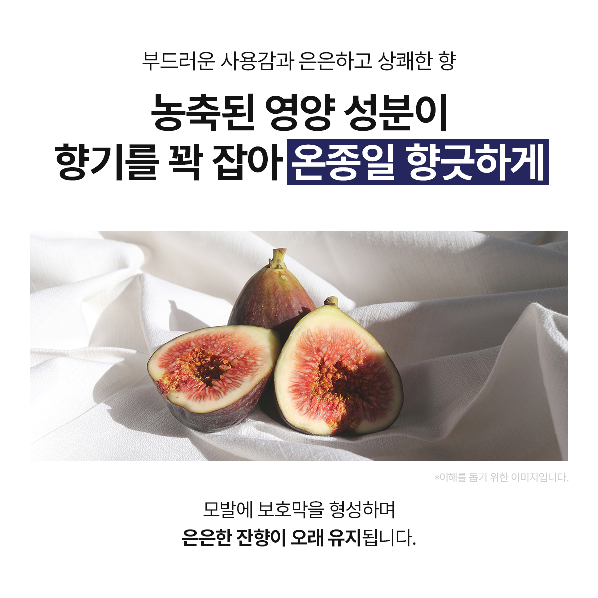 엑솔루트 샴푸 — 식물 유래 엑소좀 두피케어