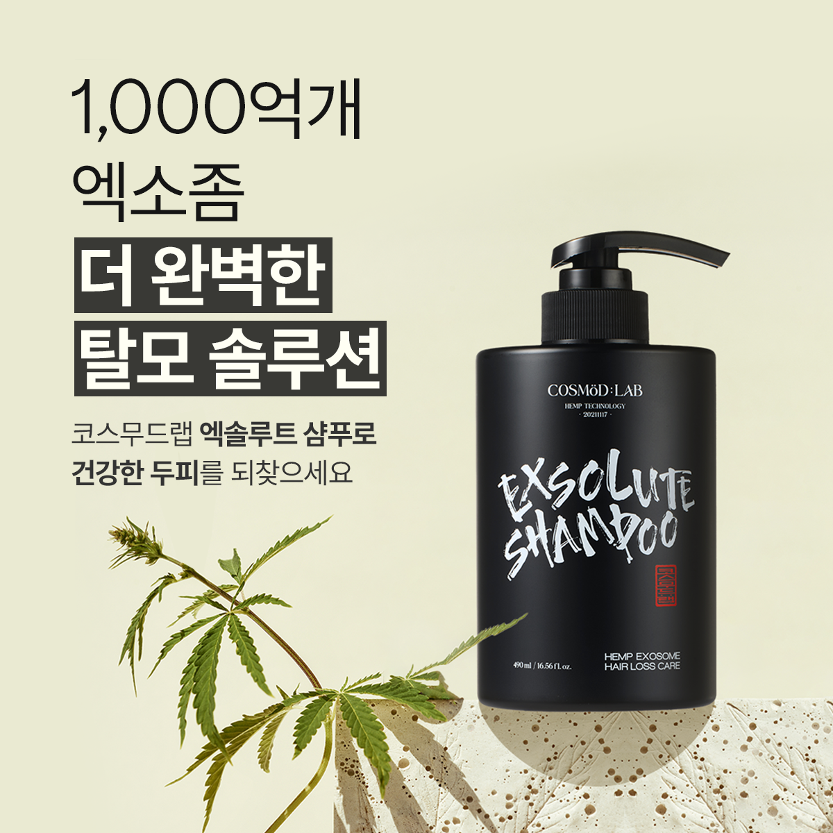 엑솔루트 샴푸 — 식물 유래 엑소좀 두피케어