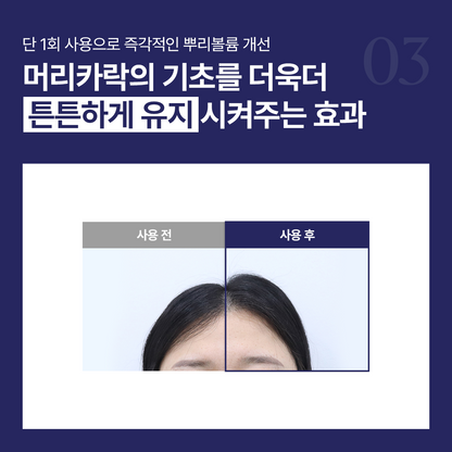 엑솔루트 샴푸 — 식물 유래 엑소좀 두피케어